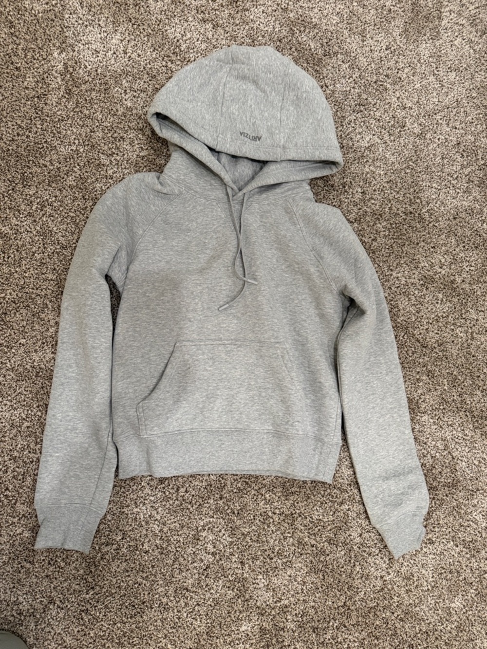 Aritzia Gray Women's Hoodie -